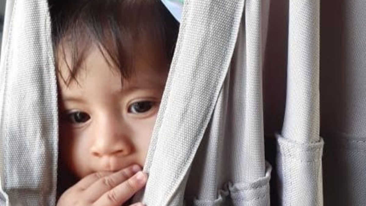 programa de estimulacion