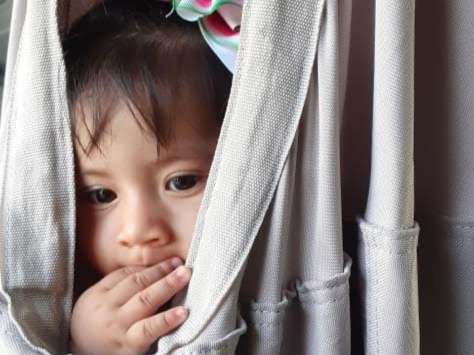 programa de estimulacion